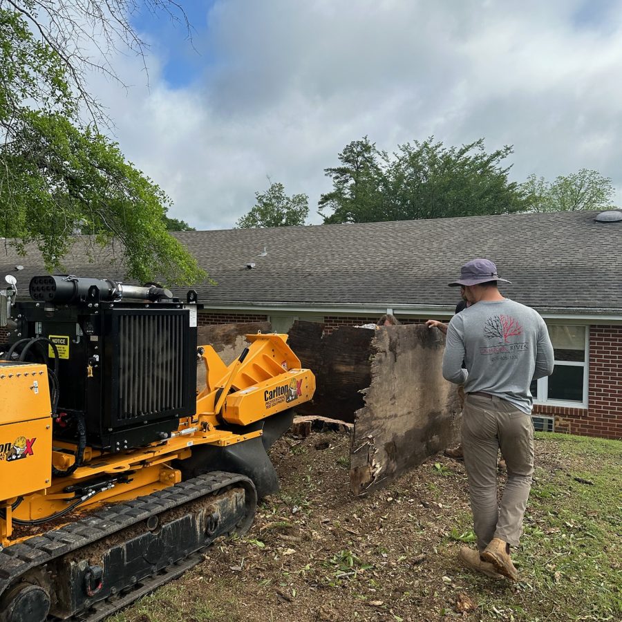 Stump Grinding